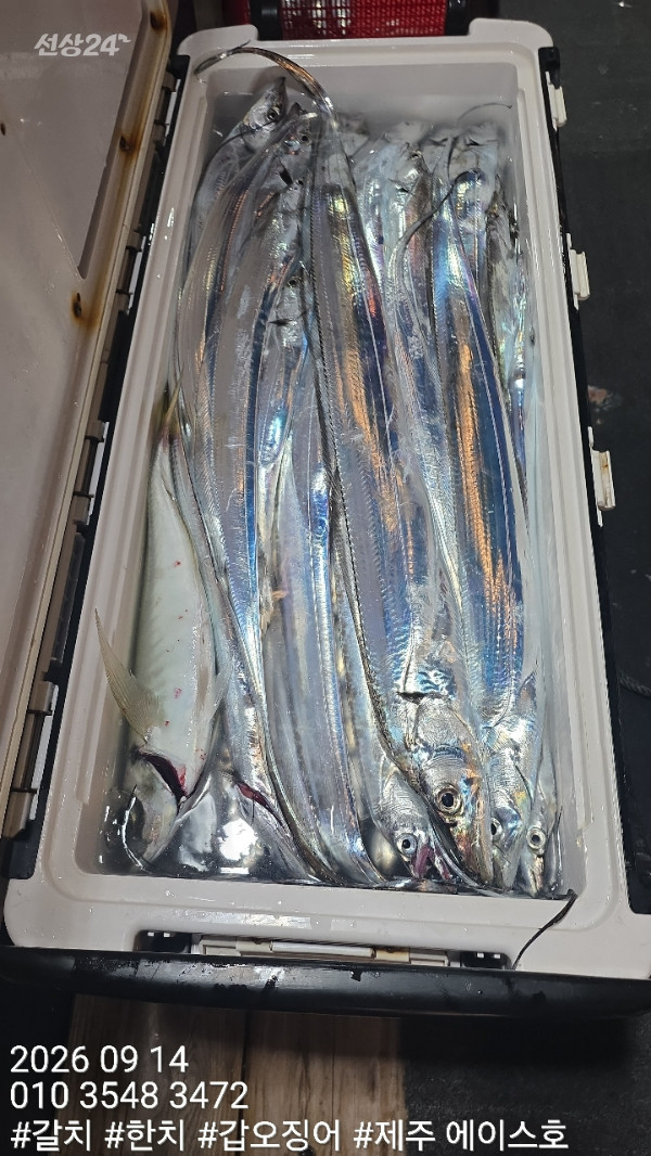 KakaoTalk_20260914_102248445_11.jpg