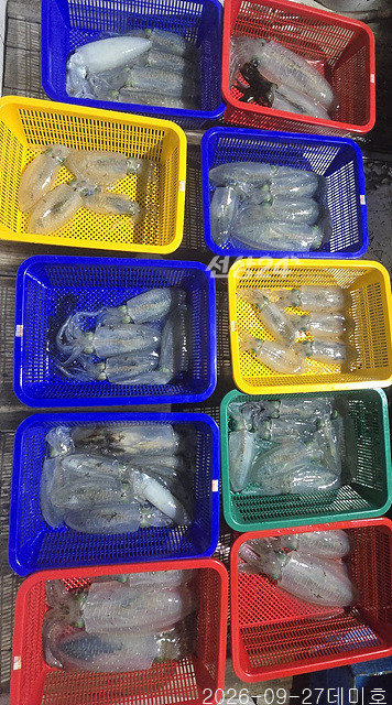 KakaoTalk_20260927_210021591_08.jpg