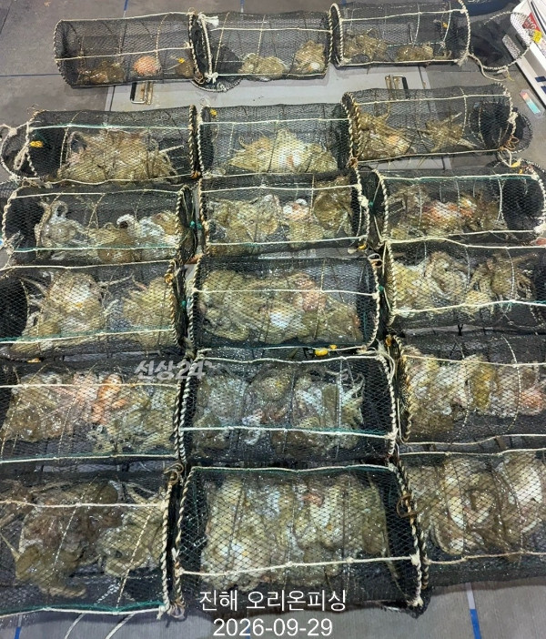 KakaoTalk_20260929_084857657_11.jpg