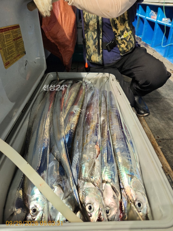 KakaoTalk_20260930_230735874_12.jpg