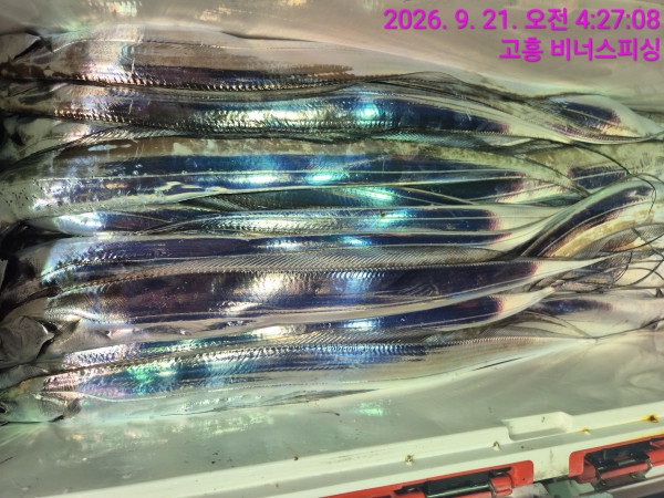 1000056088.jpg