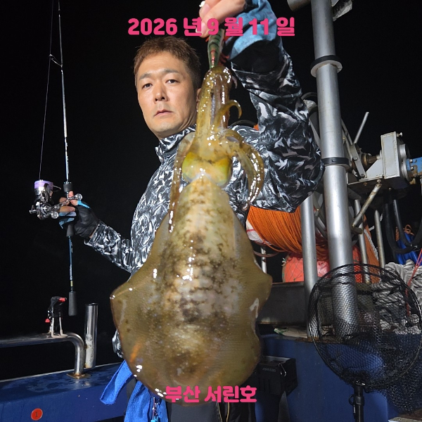 2609.jpg