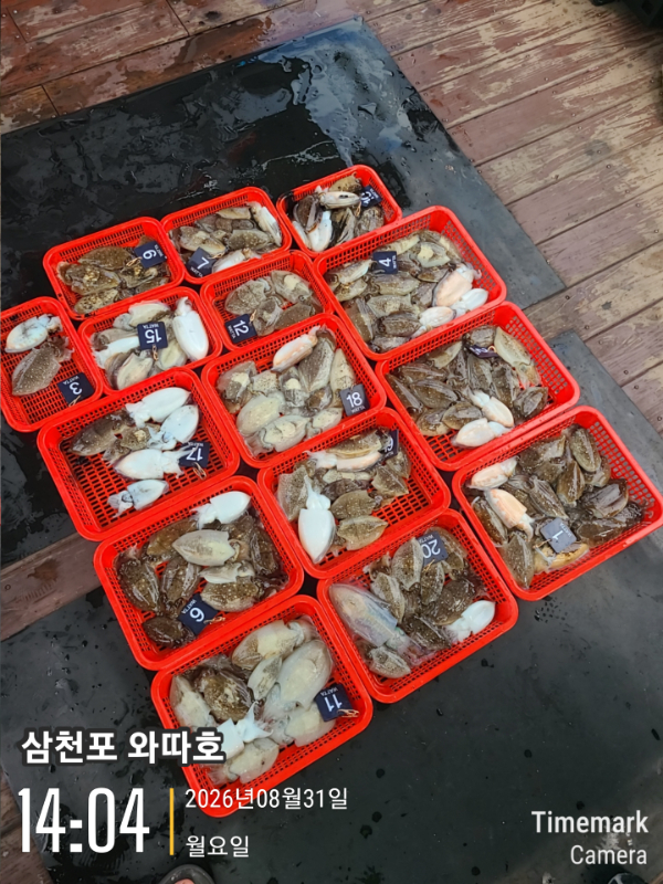 14036.jpg