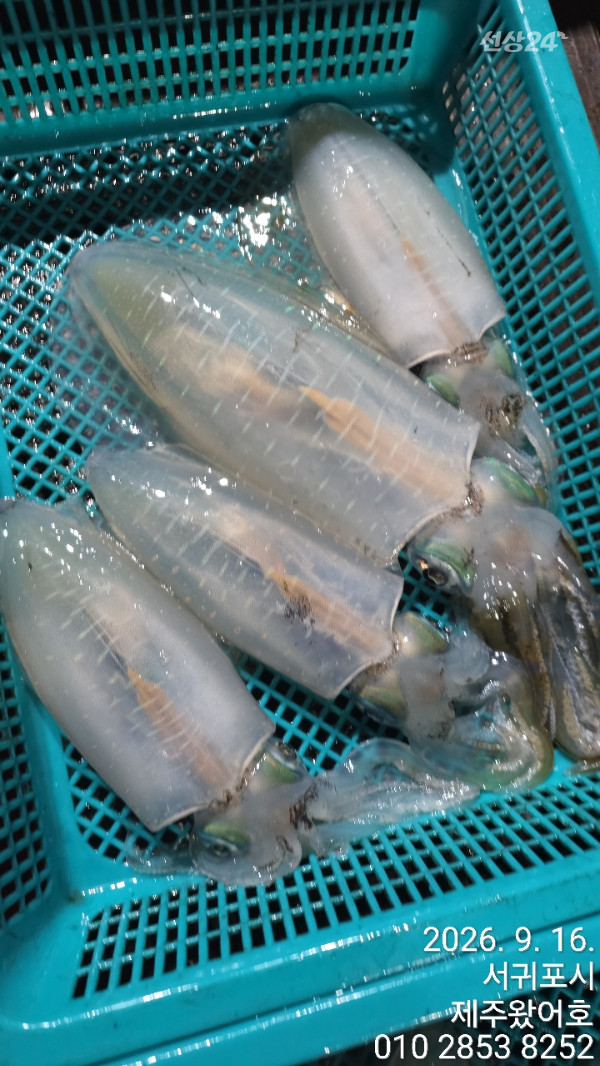 제주왔어호_사진_20260916_6.jpg