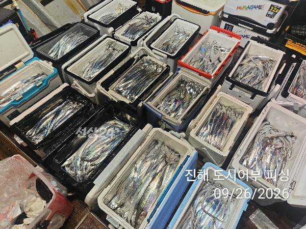 KakaoTalk_20260926_044028225_11.jpg