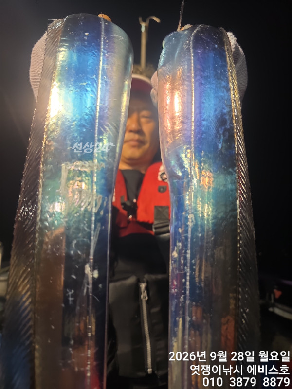 71351.jpg