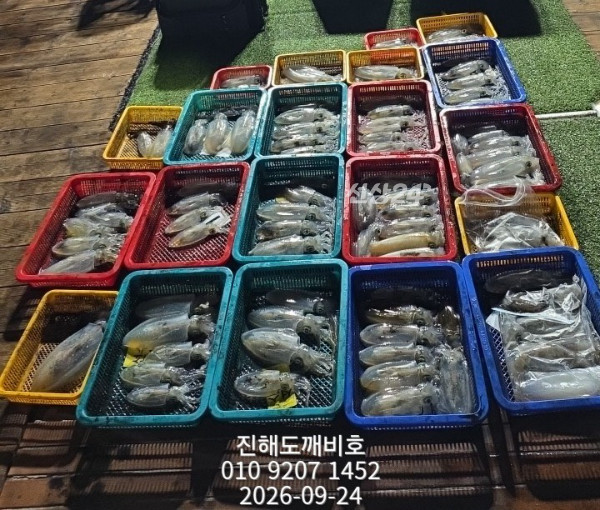 8378.jpg