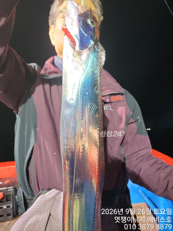 70984.jpg