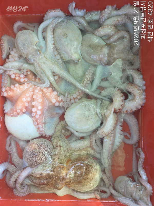 KakaoTalk_20260922_144731260_08.jpg