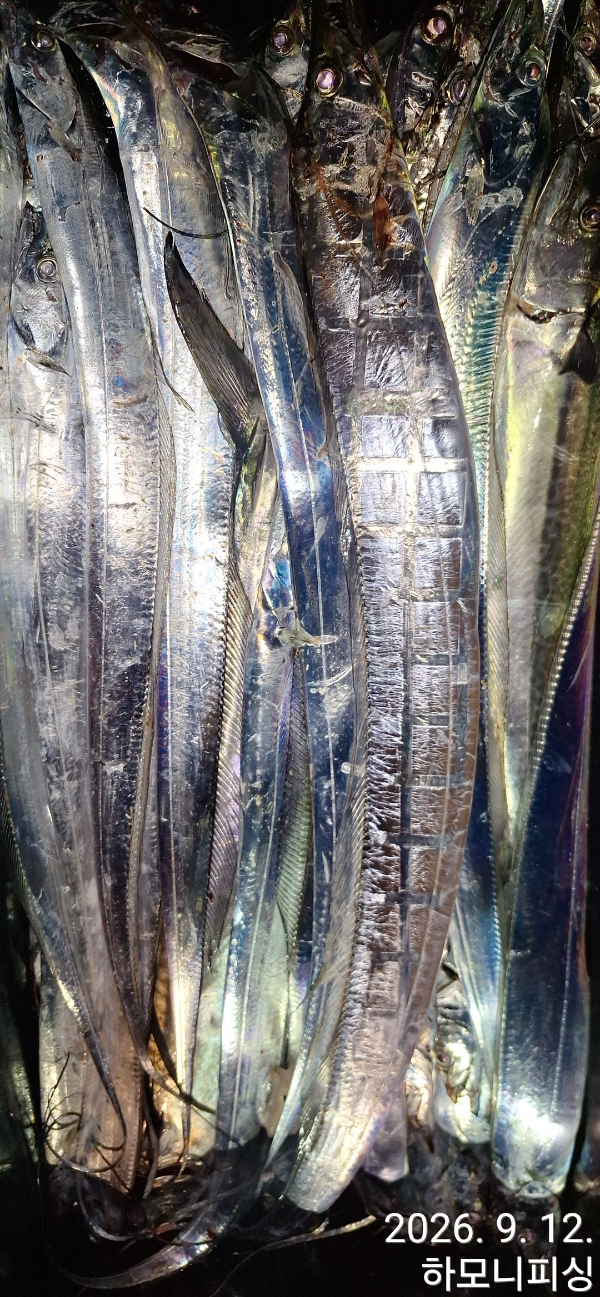 1789168498440.jpg