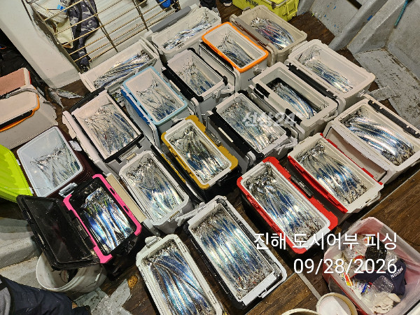 KakaoTalk_20260928_054654622_12.jpg