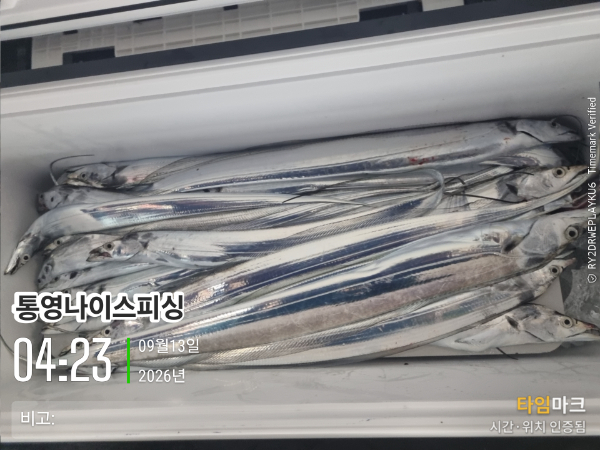 2026-09-13 04.23.42__(통영나이스피싱)_(비고-).jpg