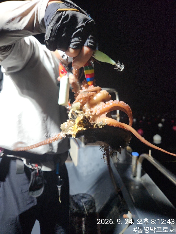 TimePhoto_20260924_201243.jpg
