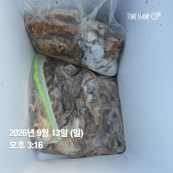 KakaoTalk_20260913_171319208_06.jpg