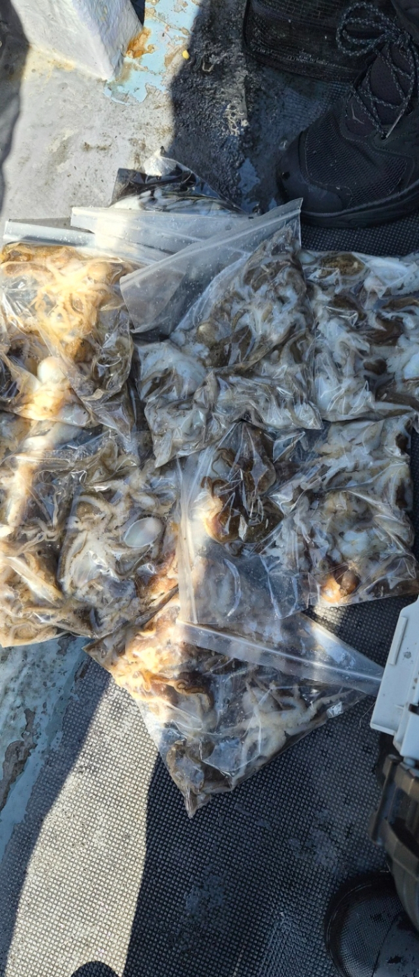 예지퀸호 농어외수질&어초낚시 경기인천권_사진_20260907_4.jpg