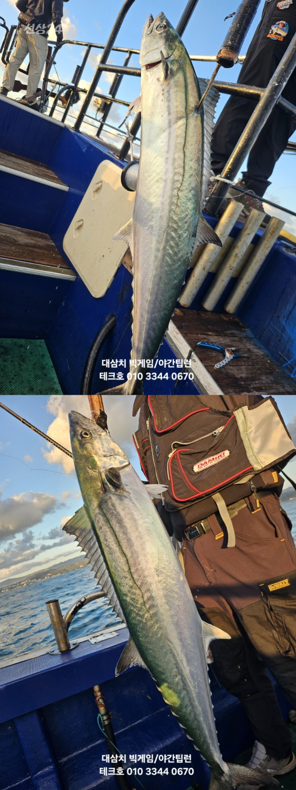 KakaoTalk_20260923_081932438_20-vert.jpg