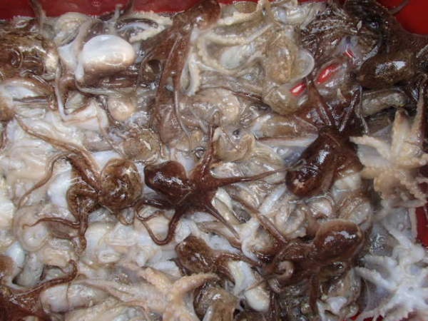 114.JPG