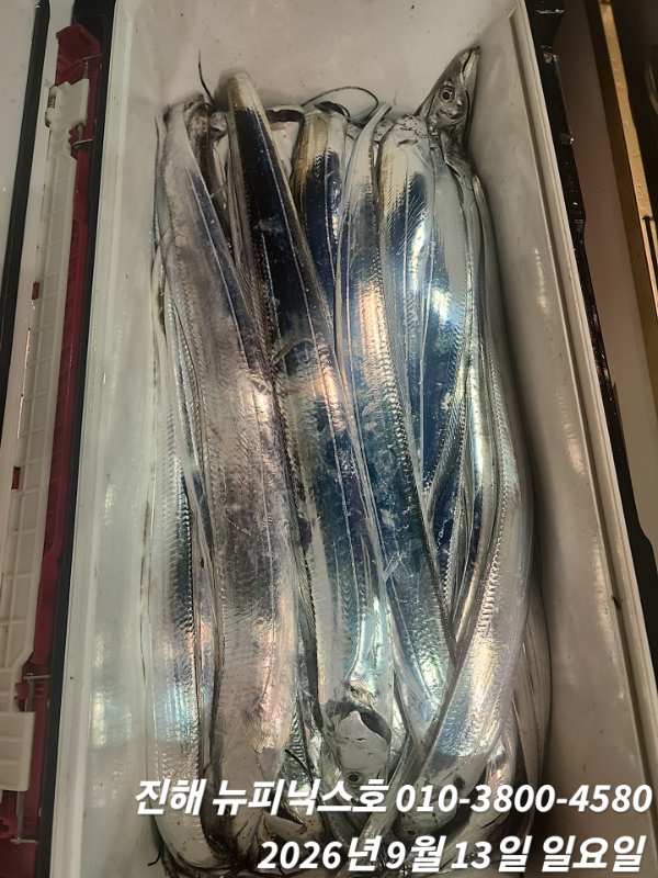 1000099494.jpg