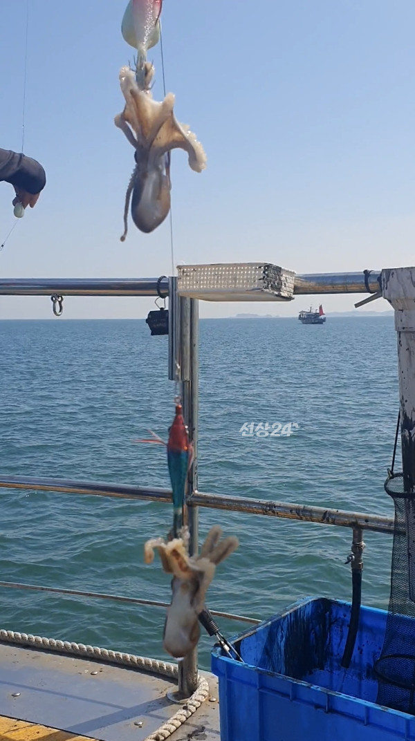 Screenshot_20260927_134326_Video Player.jpg