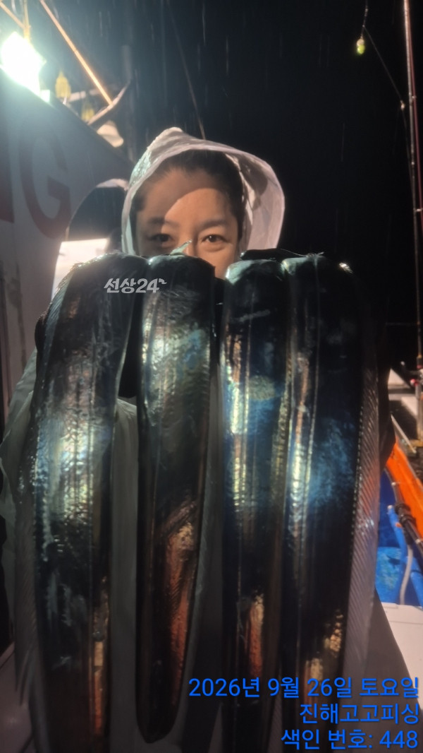 73861.jpg