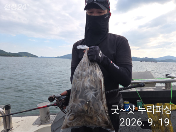 95481.jpg
