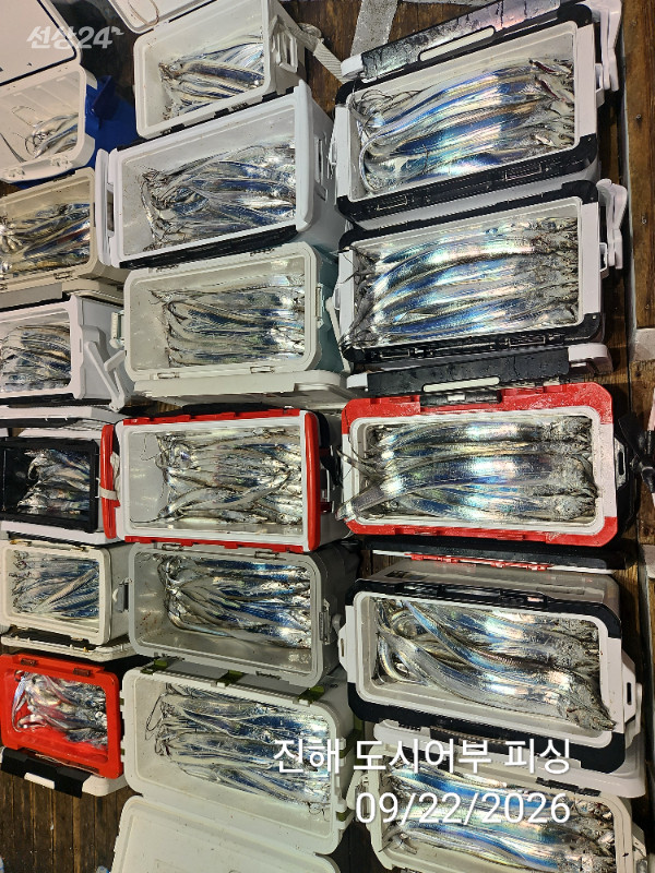 KakaoTalk_20260922_052858939_14.jpg