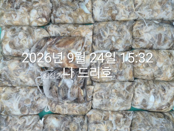 KakaoTalk_20260924_161734361_05.jpg