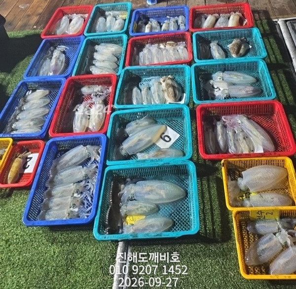 8638.jpg