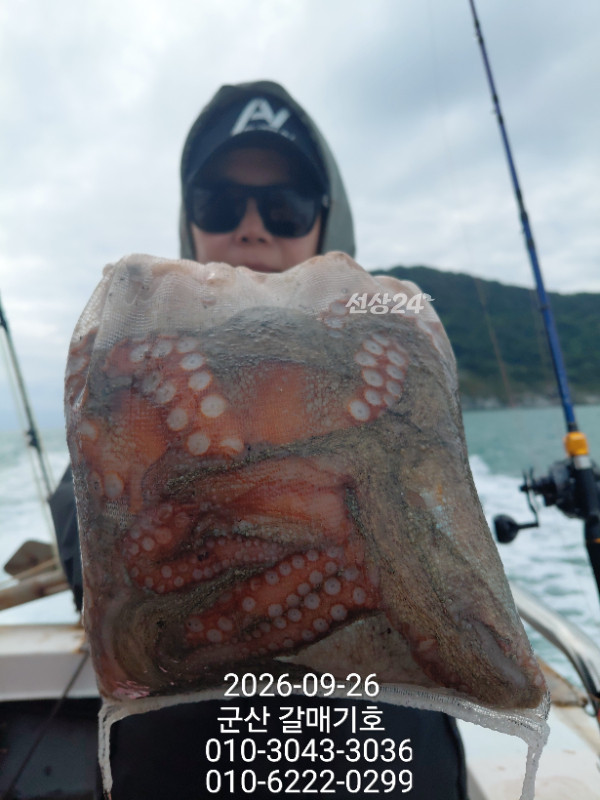 10031.jpg