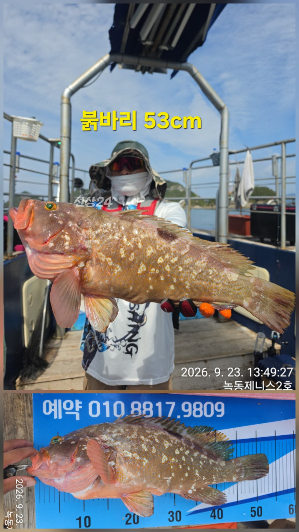 50377.jpg
