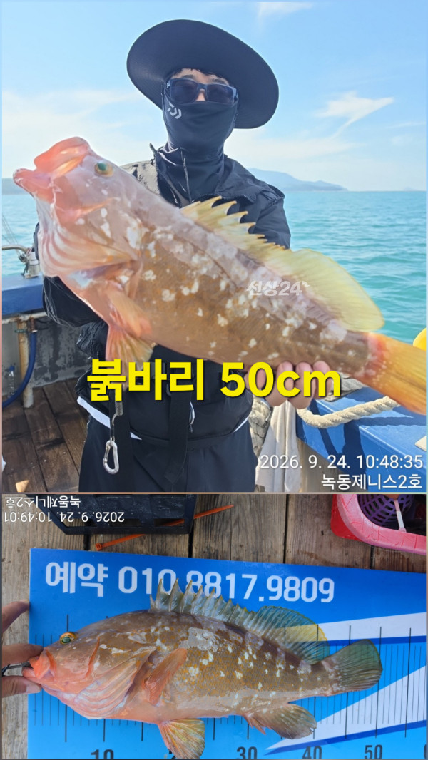 50402.jpg