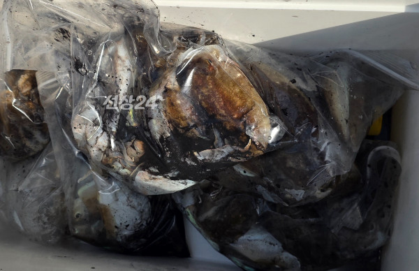 1790506793270.jpg