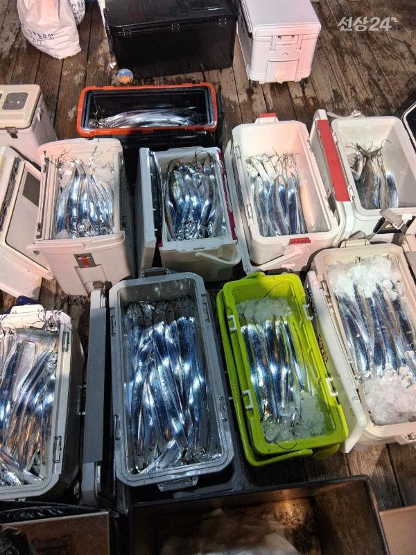 1004피싱_사진_20260920_2.jpeg