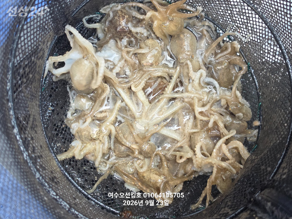 46936.jpg