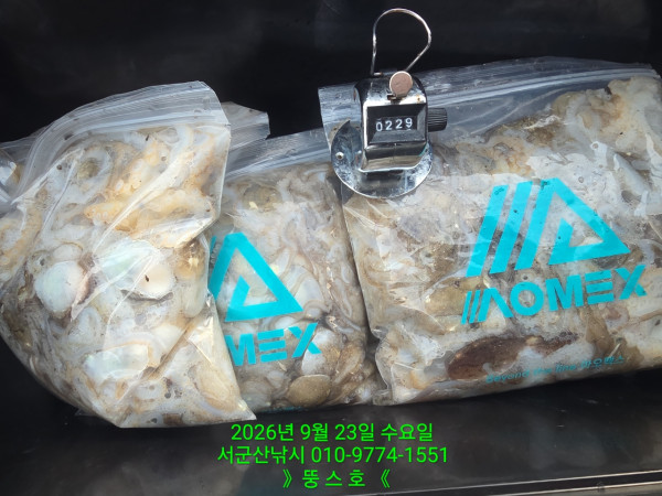 군산 선상낚시, 바다낚시 출조 전문 ☆서군산낚시☆_사진_20260923_1.jpg