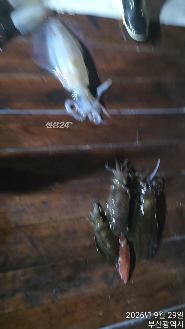 TimeVideo_20260929_015304.jpg