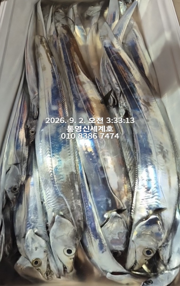 1788303427948.jpg