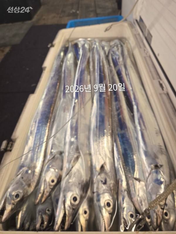 16ED42BB-10EA-47CC-AF6D-BC51015A8128.jpeg