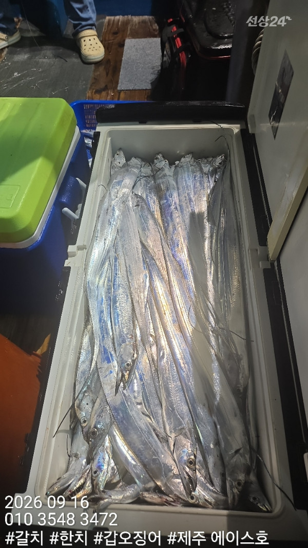 KakaoTalk_20260917_124710136_14.jpg