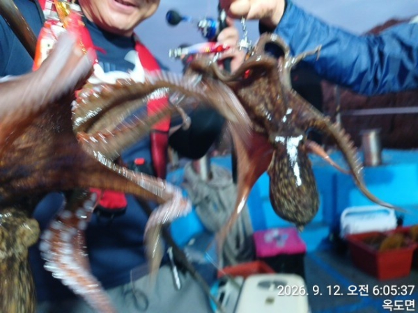 KakaoTalk_20260912_072731957.jpg