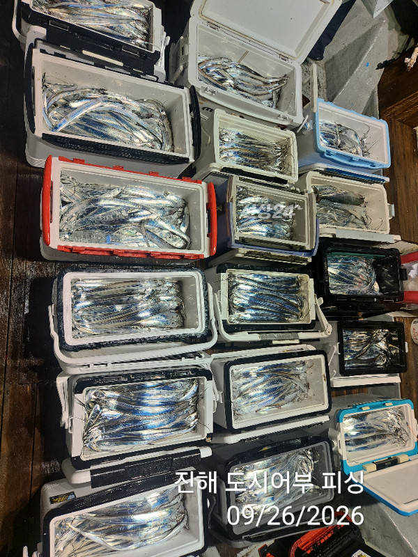 KakaoTalk_20260926_044028225_06.jpg
