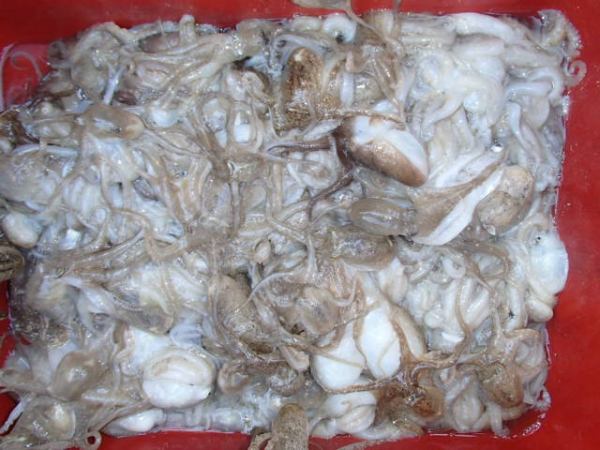 114.JPG