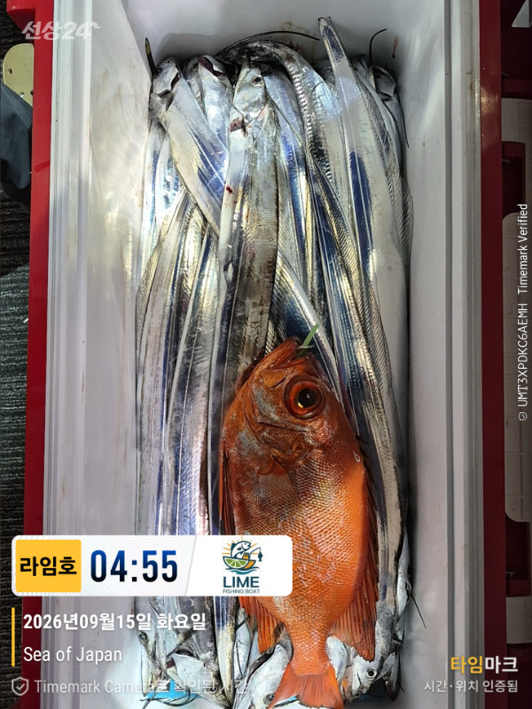 KakaoTalk_20260915_093234679.jpg