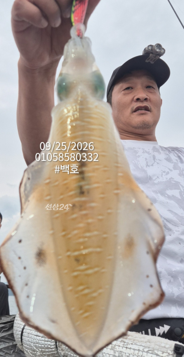 87856.jpg