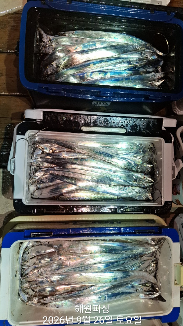 1000037003.jpg