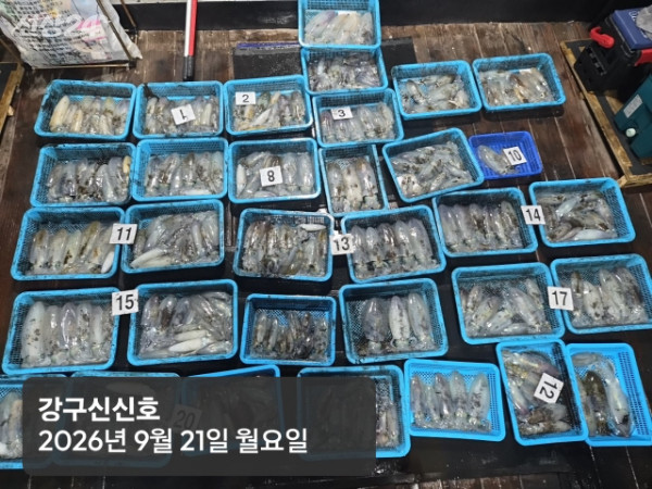 신신낚시 강구점 신신호_사진_20260921_1.jpg
