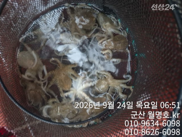 17043.jpg