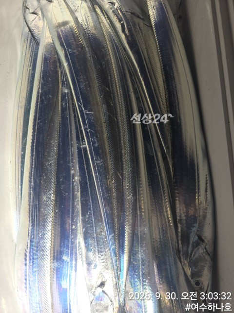 1790768225154.jpg
