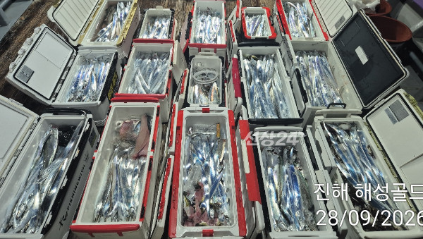 1790556113187.jpg