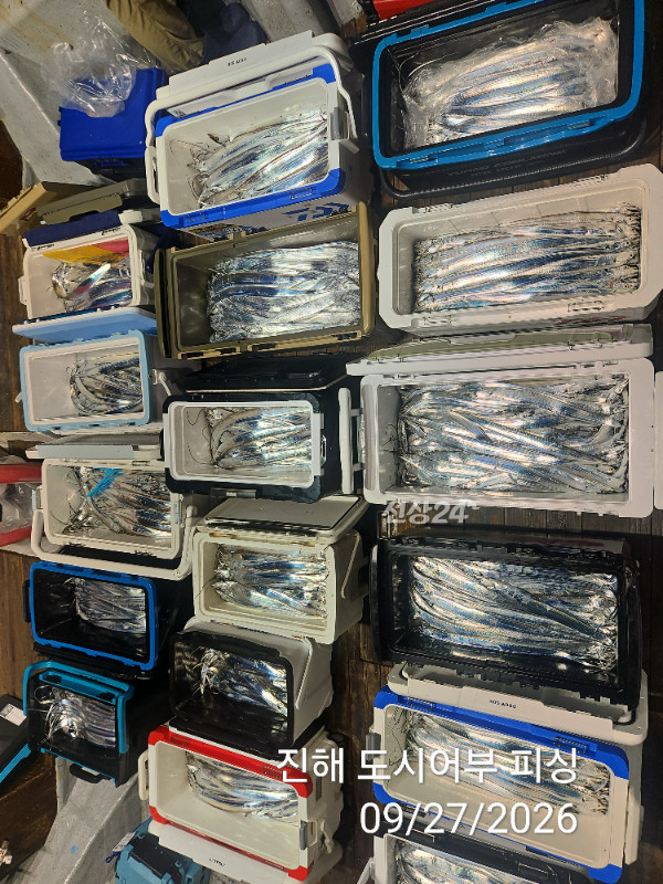 KakaoTalk_20260927_050422422_10.jpg